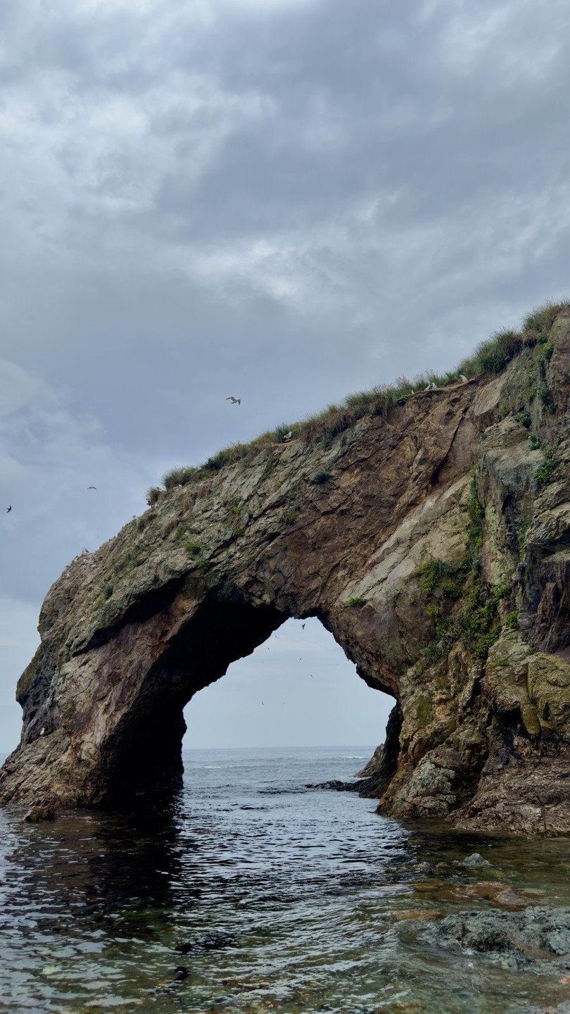 Мыс Великан и мыс Птичий: путешествие в мини-группе (Анна)