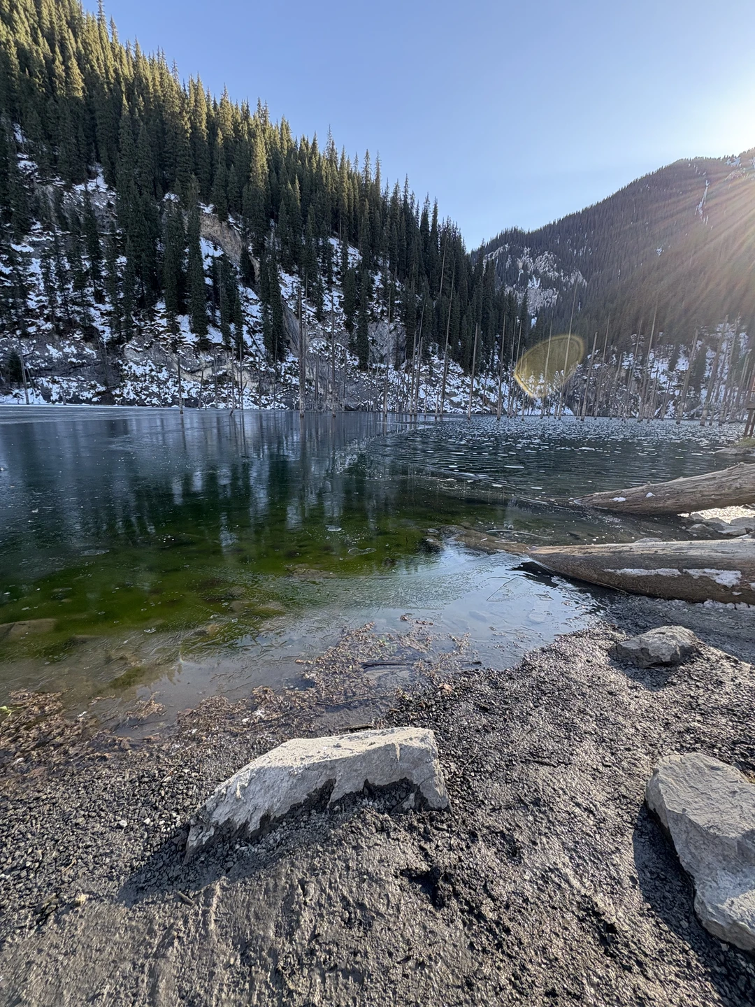 Невероятное чудо расчудесное)))