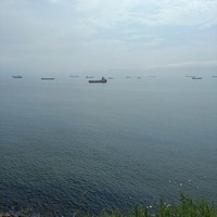 Фото отзыва 5: экскурсия "Трансфер из аэропорта и знакомство с Владивостоком"
