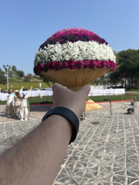 Спасибо за прекрасно организованную экскурсию гиду Наталье!!! Доха влюбила в себя!!! Маршрут отлично показал город (да