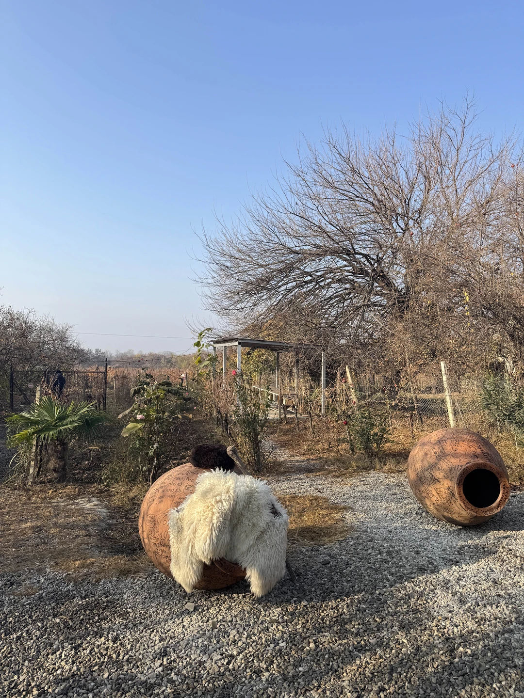Кахетия покорила не только вкусом вина, но и атмосферой!