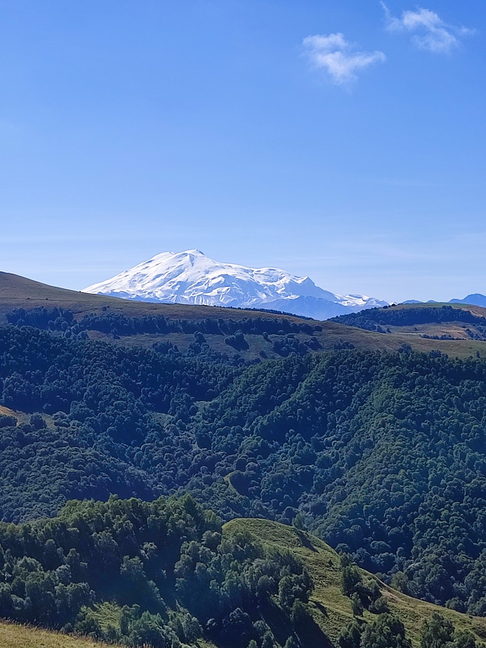 Домбай: от поляны — к вершине альпийского высокогорья (9/10)