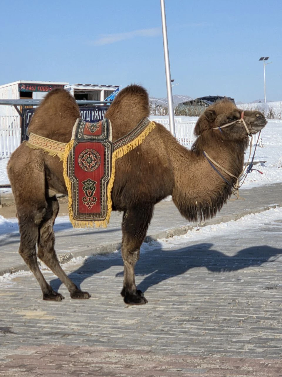 Спасибо за экскурсию! Все понравилось))) познавательно, интересно👍 обязательно будем рекомендовать другим 😊 желаем компании процветания и