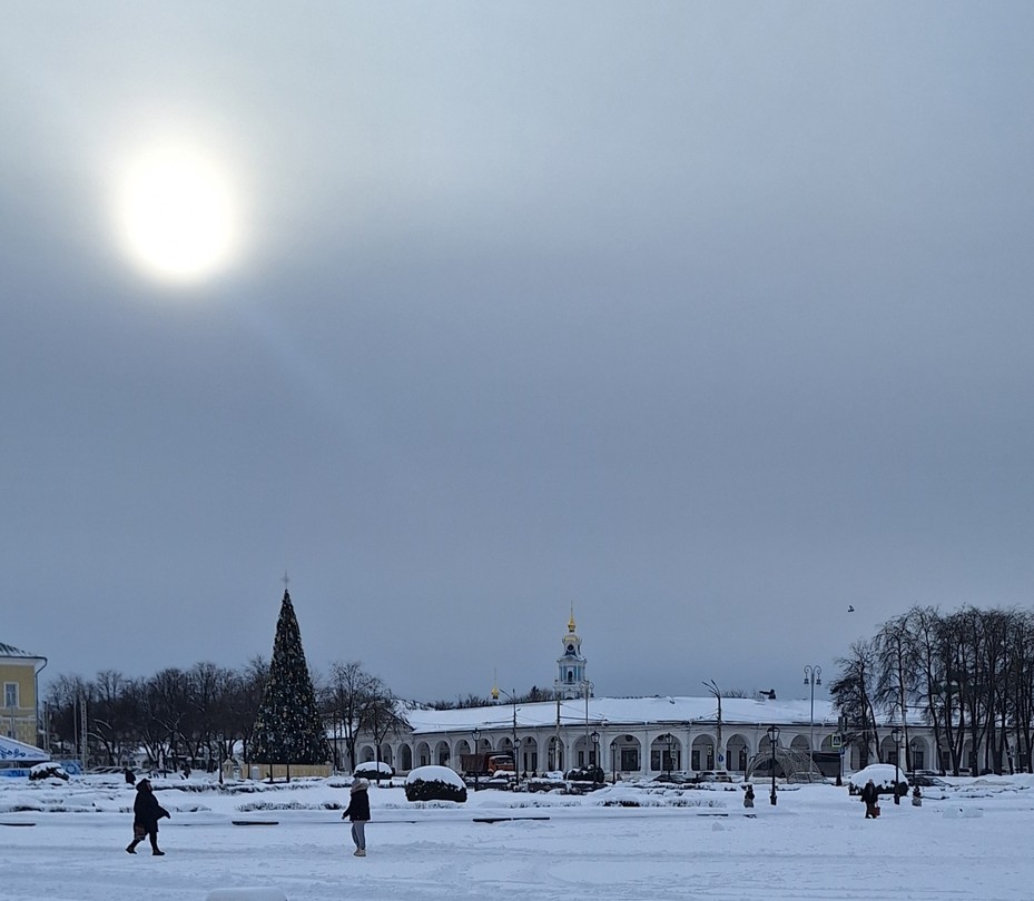 Квест-экскурсия по Костроме «Мазайские зайцы» (Надежда)