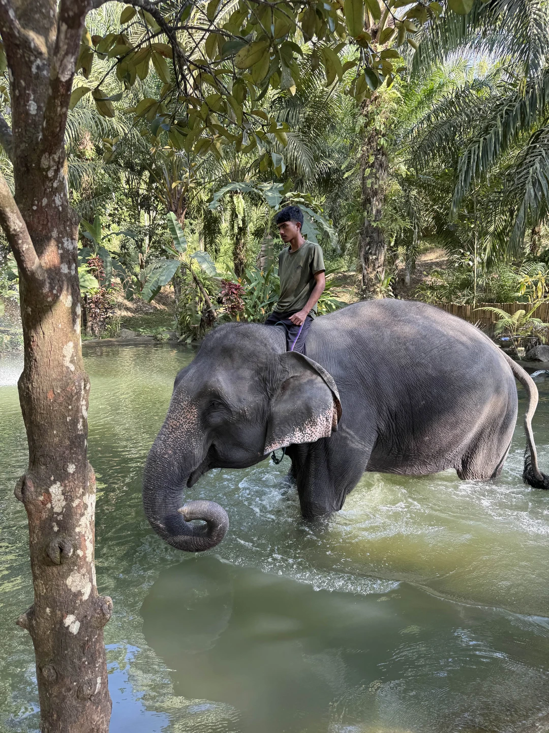 Очень рекомендую данную экскурсию! День получился очень насыщенный, интересный и увлекательный. Много интересных локаций, четкий тайминг