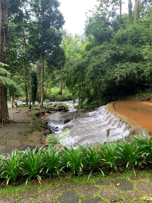 Путешествие к водопадам Баолока