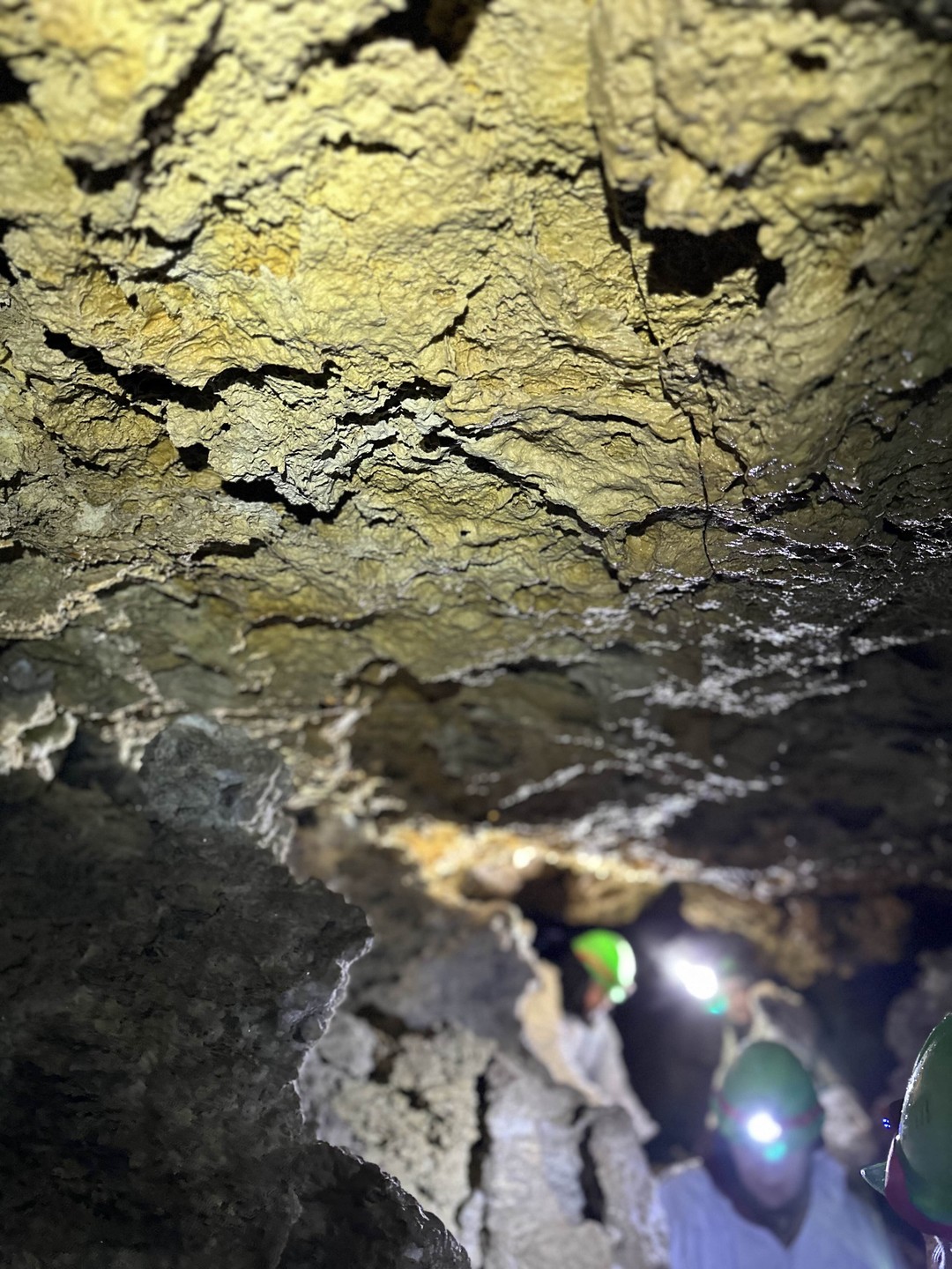 Интересная, увлекательная экскурсия в сопровождении чудесного гида. Рекомендую однозначно!