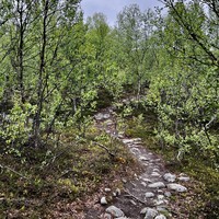 Фото отзыва 3: экскурсия "Водопады в окрестностях Мурманска"