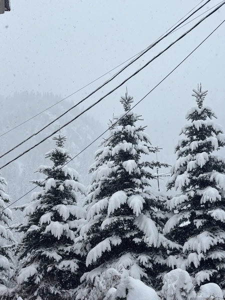 Экскурсия потрясающая! Мы поехали, когда в Кисловодске была, можно сказать, весна, а в Домбае была настоящая