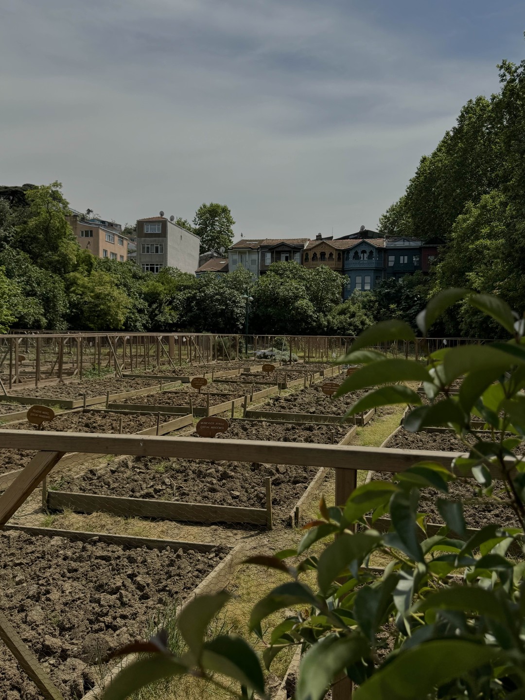 Все грани Стамбула (Дарья)