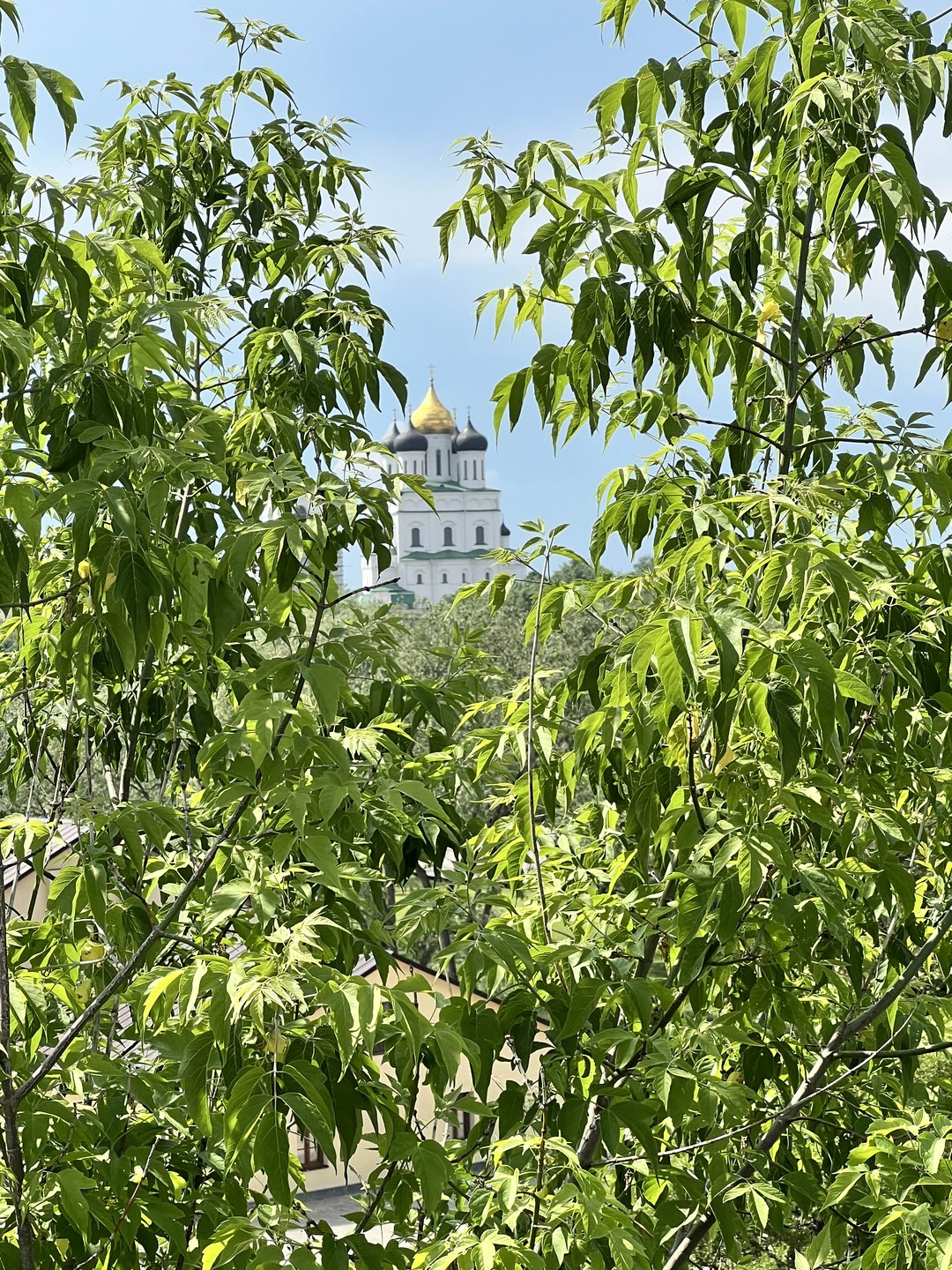 Фотоэкскурсия по Пскову «Набережные двух рек» (Светлана)
