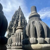 reviews img