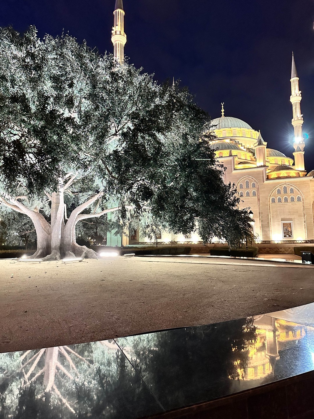 Хочу выразить огромную благодарность гиду, Зауру. Очень умный, начитанный, приятный собеседник и воспитанный мужчина. Экскурсия была