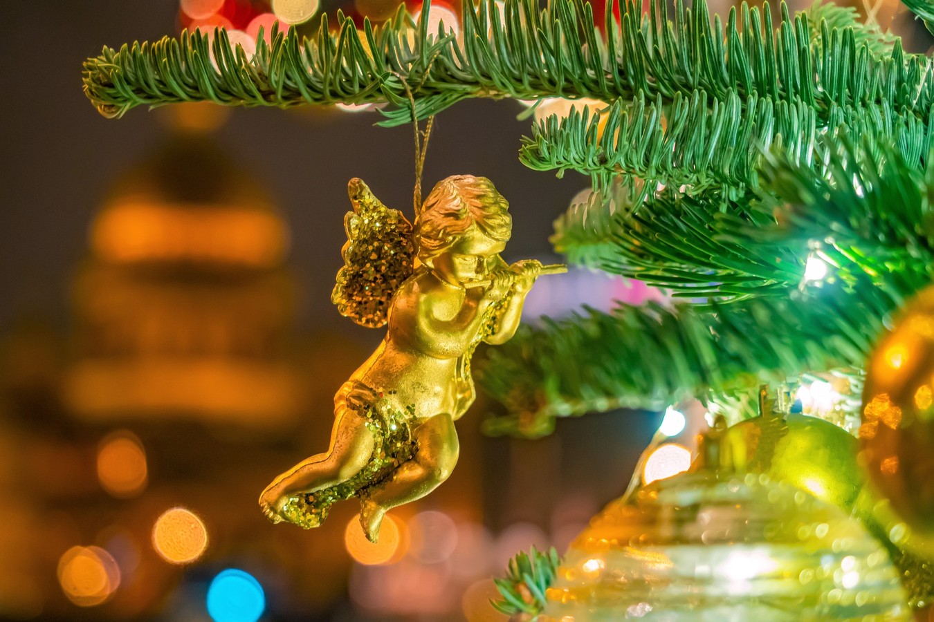 Католическое Рождество в Петербурге — групповая экскурсия