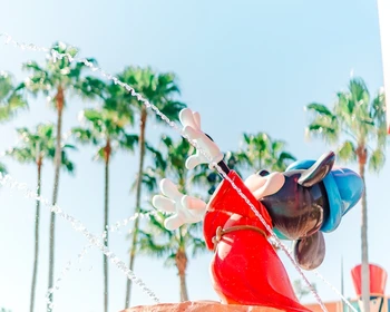 На весь день в Диснейленд