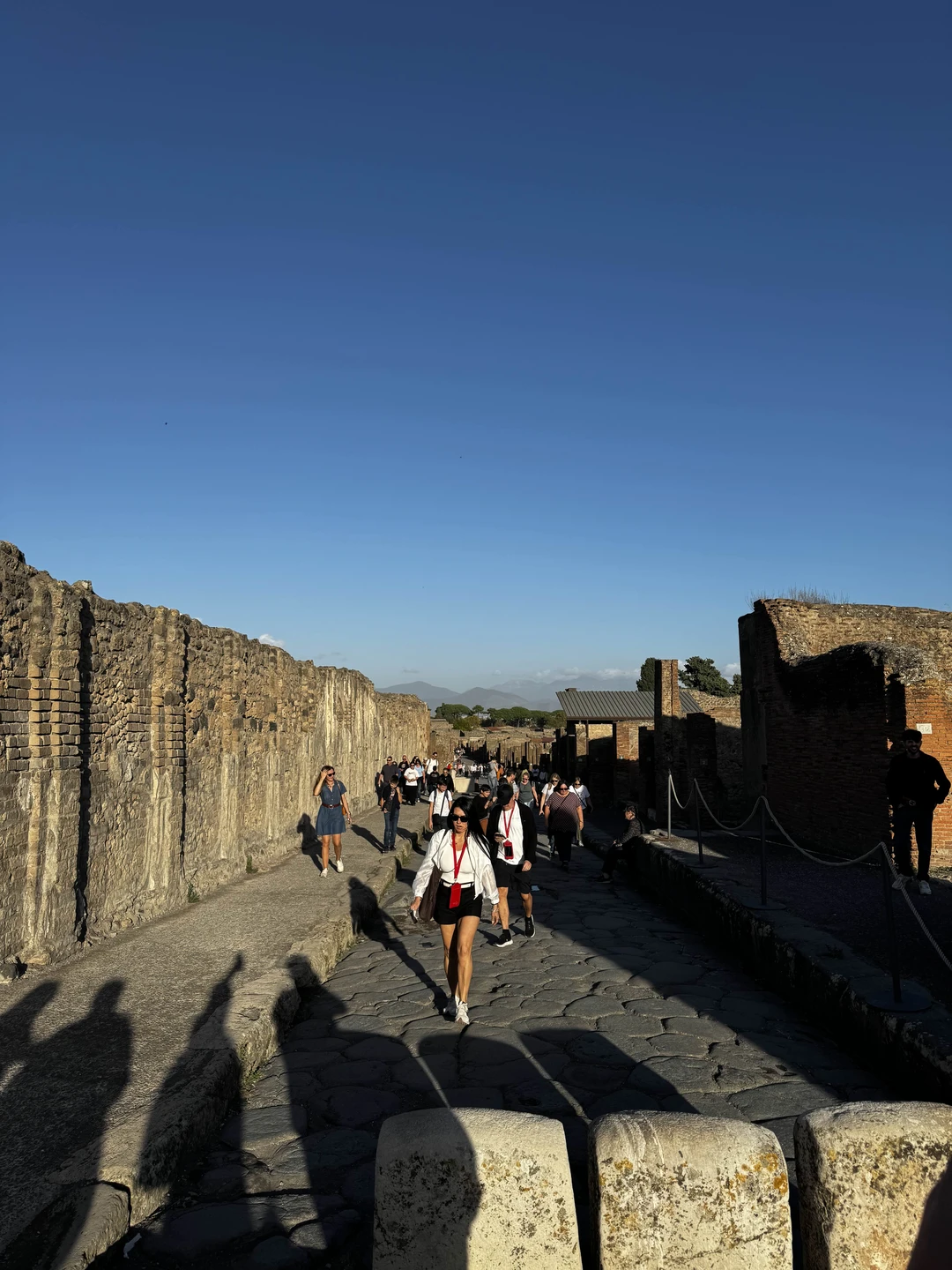 Очень хорошая экскурсия! В Помпеи без гида ни в коем случае!