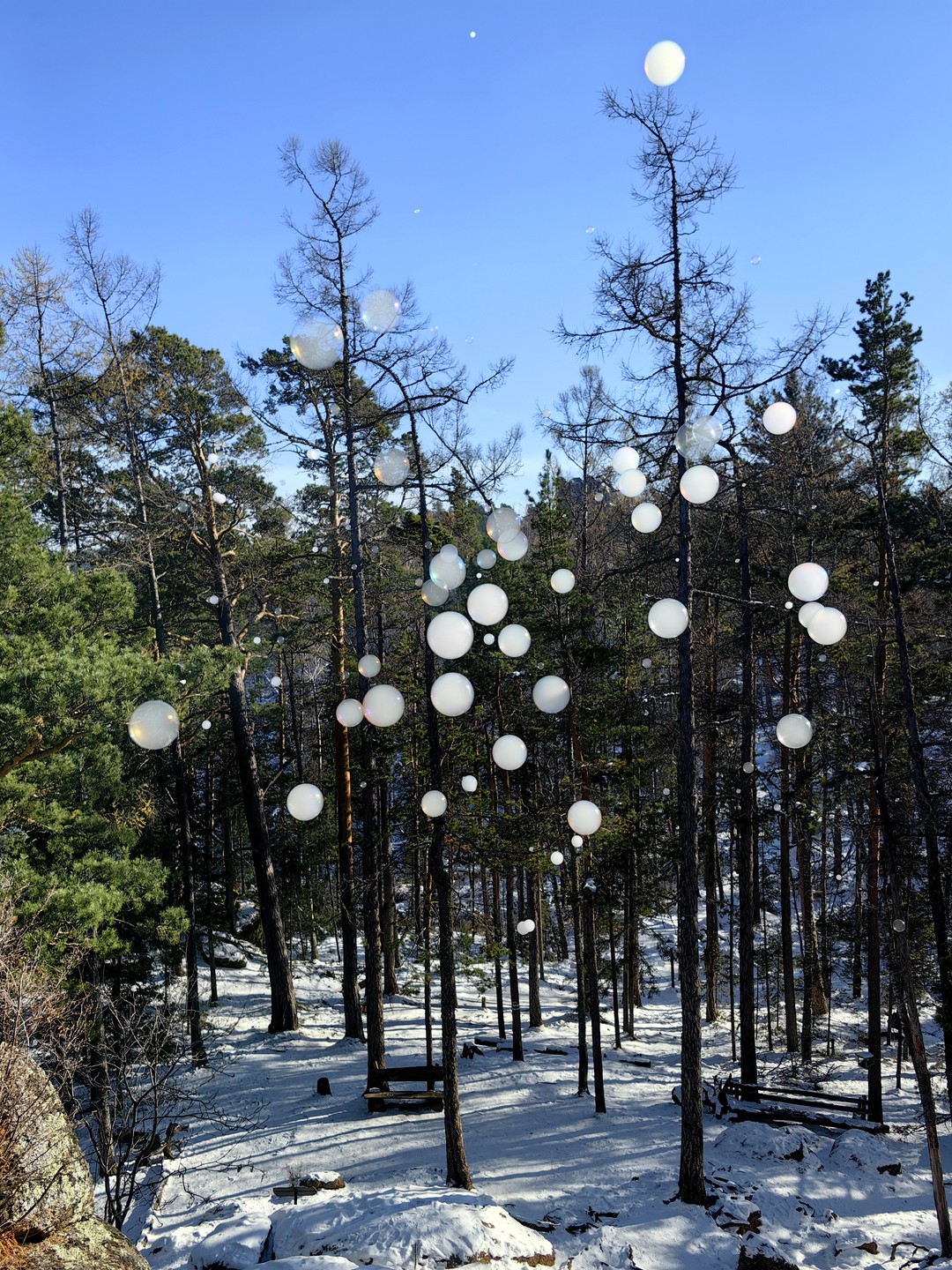 Недавно я побывал на прогулке по Красноярским столбам с гидом Андреем. Это было незабываемое приключение!