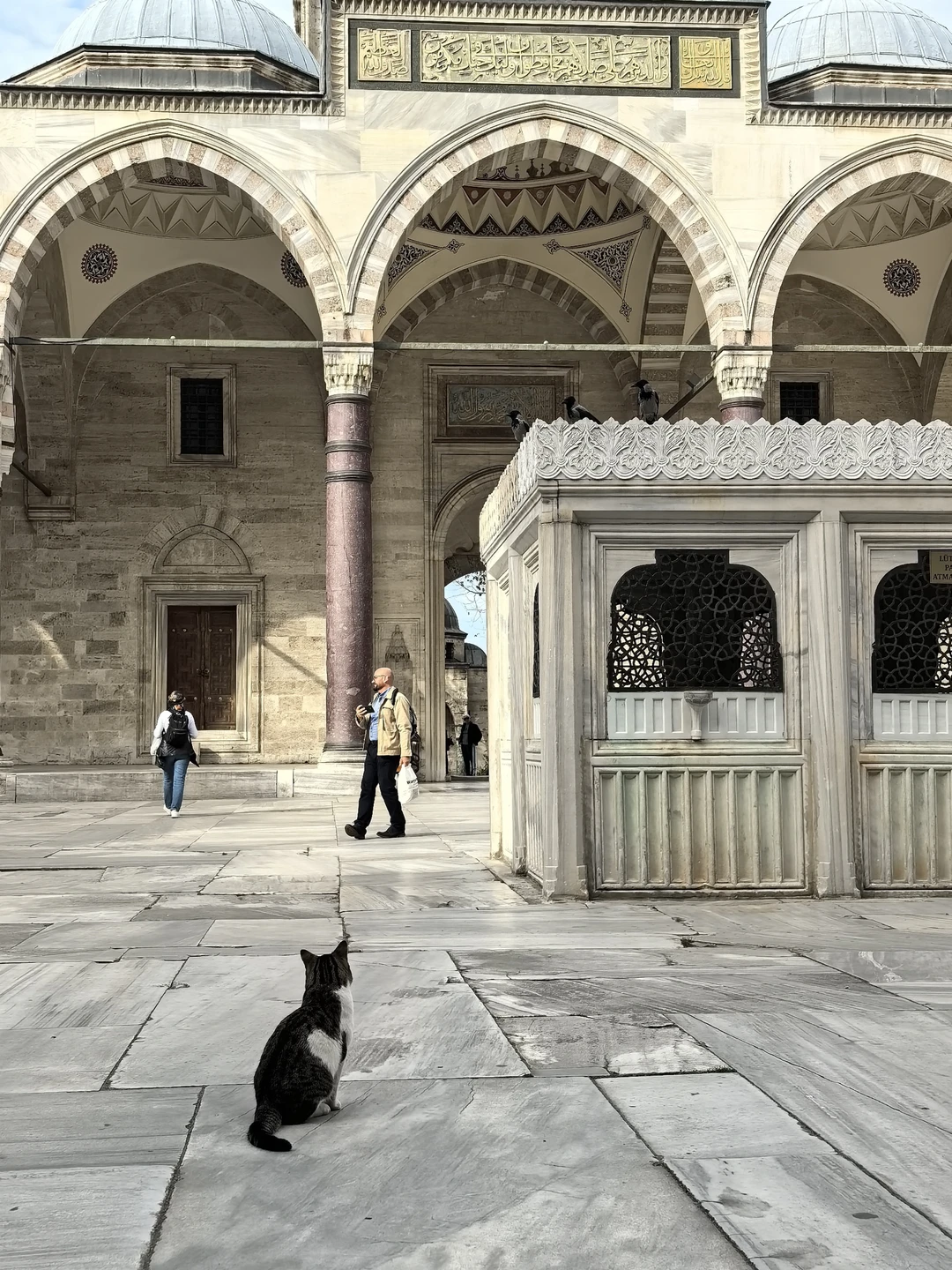Это именно та экскурсия, с которой стоит начать знакомство с удивительным Стамбулом! А Майя просто потрясающий