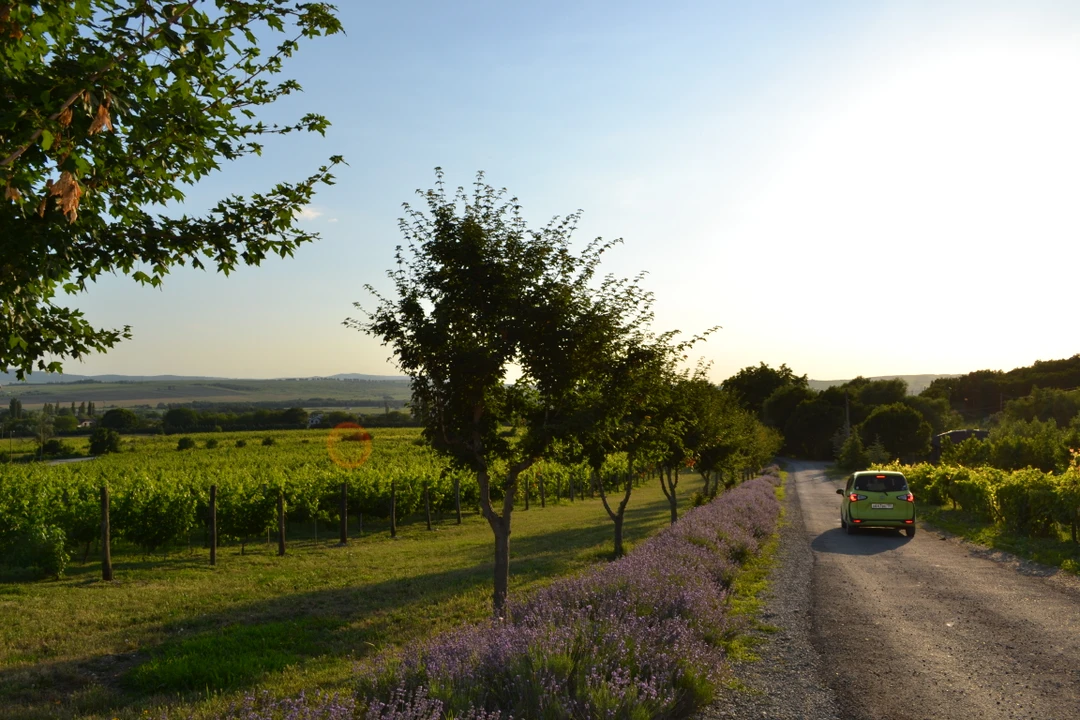 Благодарим Дмитрия за интересный рассказ, прекрасное вождение и внимательность к пассажирам! Если вас интересуют не только