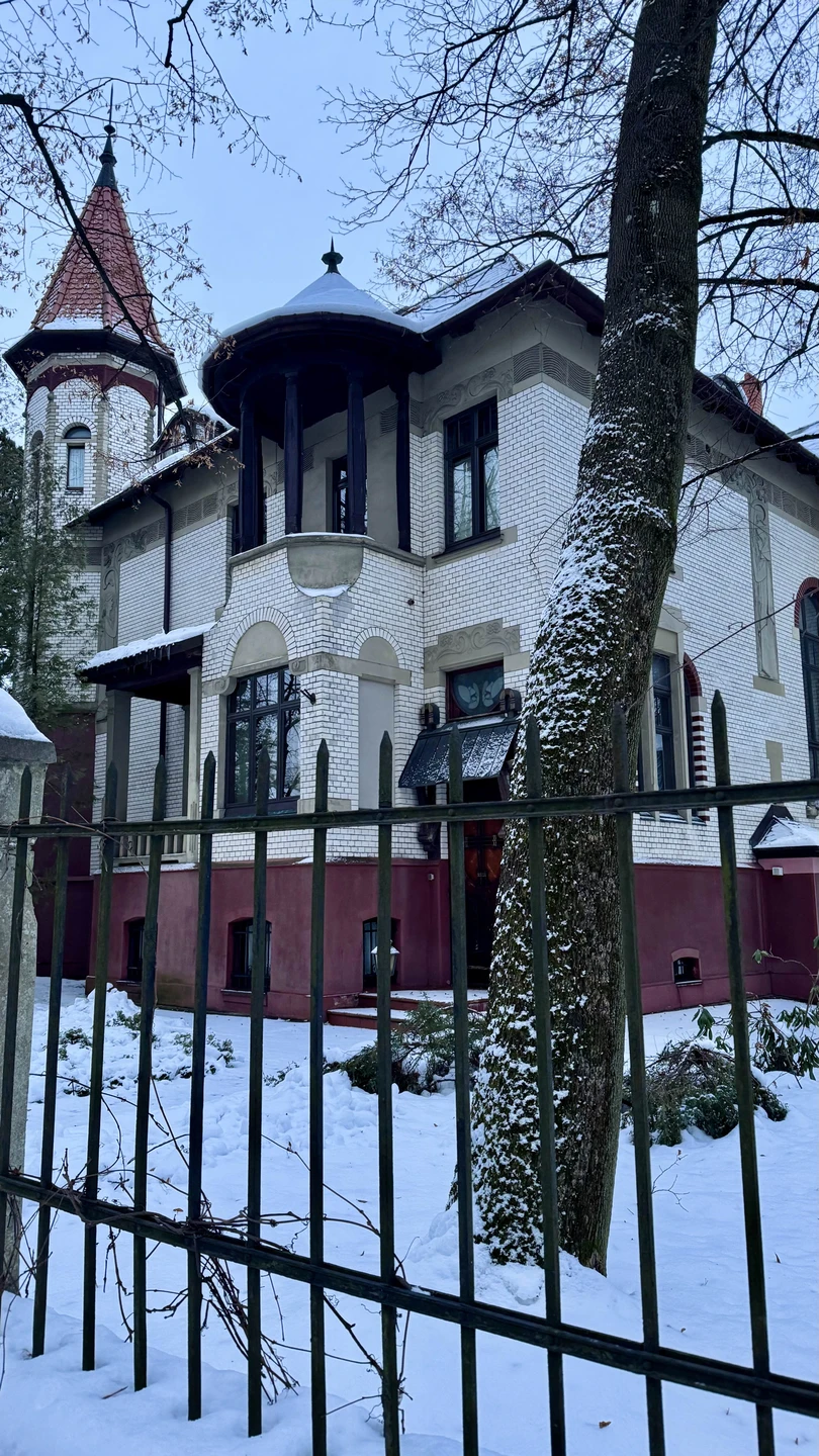 Авторская экскурсия по Амалиенау с его жителем (Диана)