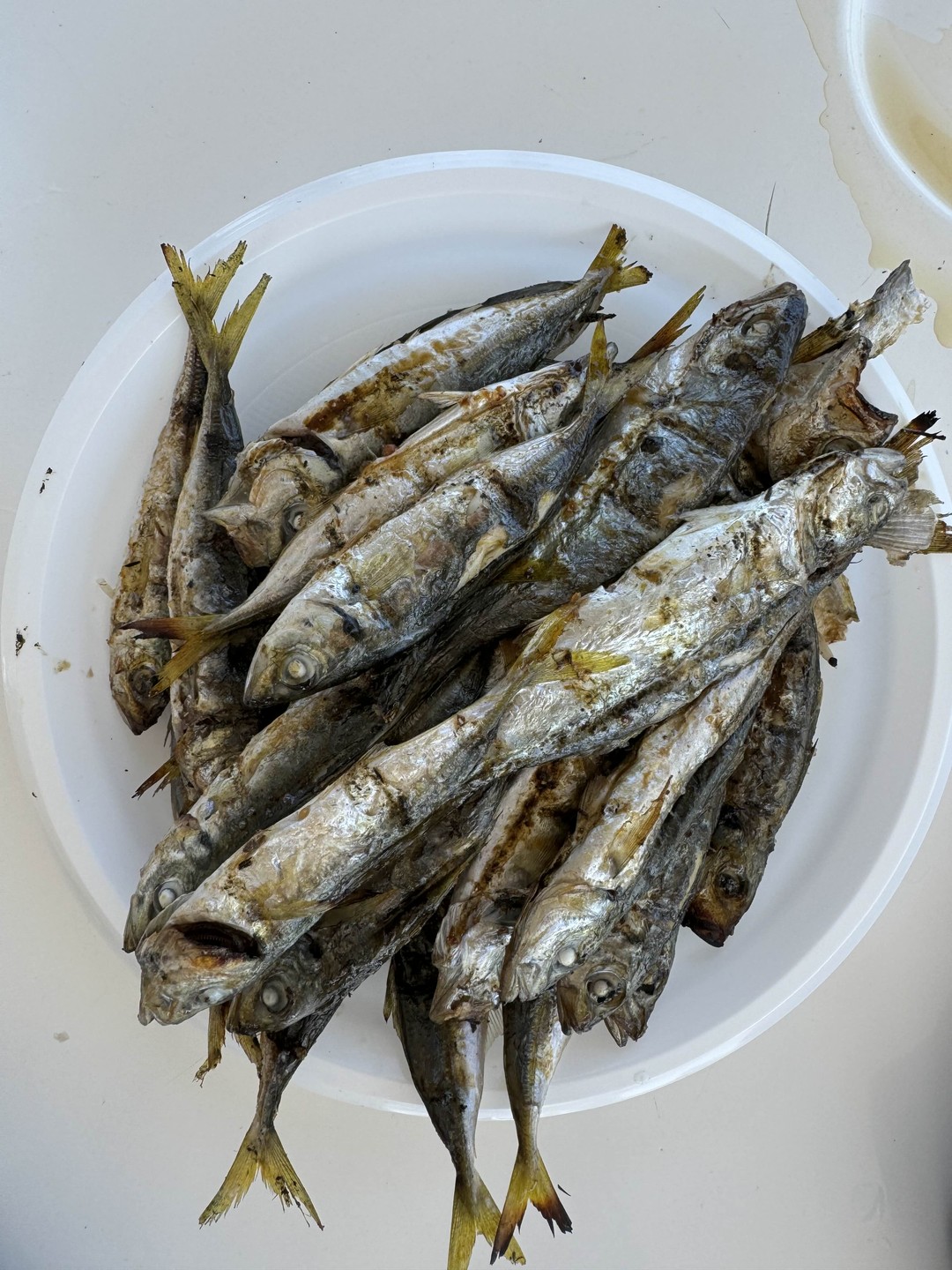 Черноморская рыбалка и пикник в открытом море (Алеся)