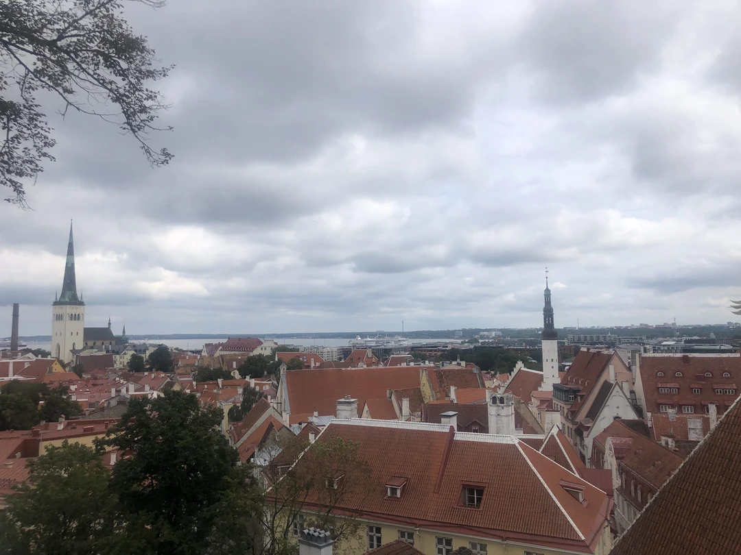 С улыбкой по Старому Таллину (Алла)