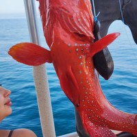 Фото отзыва 2: экскурсия "Морской круиз на полуострове Мусандам (всё включено)"