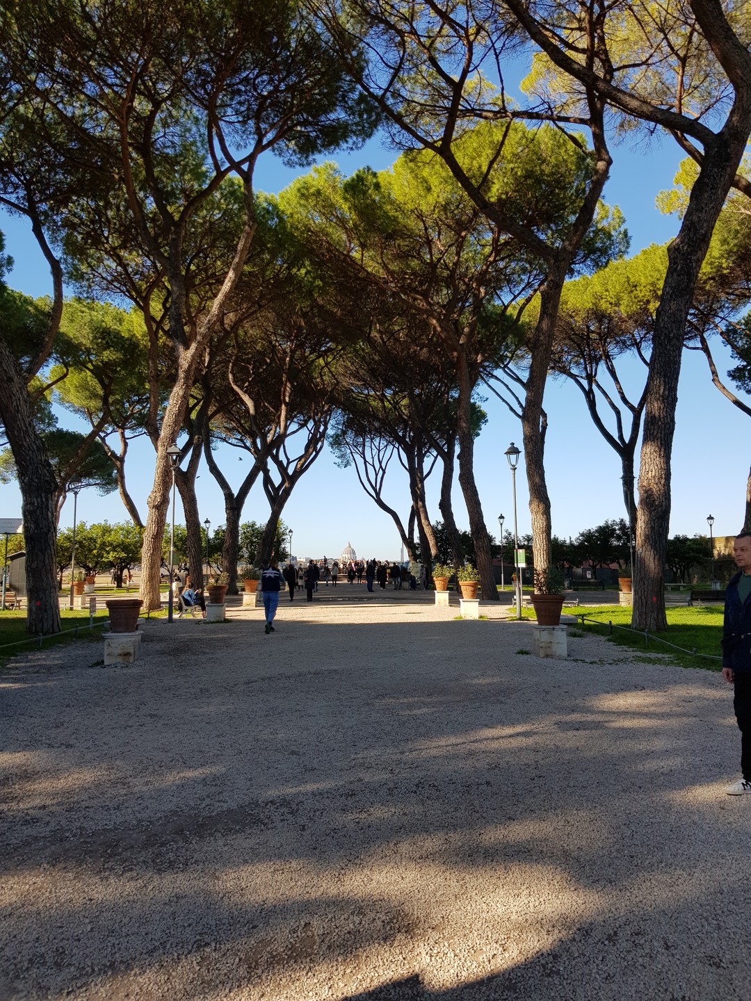 Спасибо Нелли за чудесную экскурсию по Авентину и набережной Тибра. Она познакомила меня совсем с другим