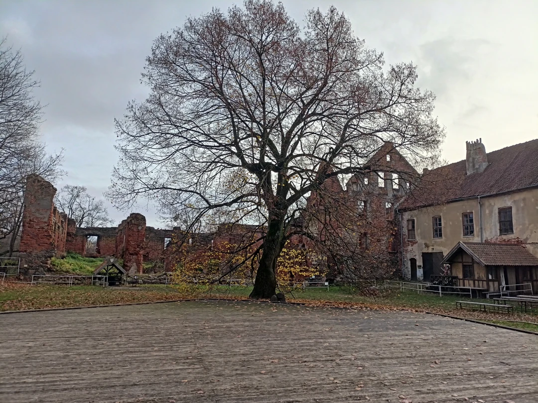 Замки Восточной Пруссии на групповой экскурсии (Черкес)