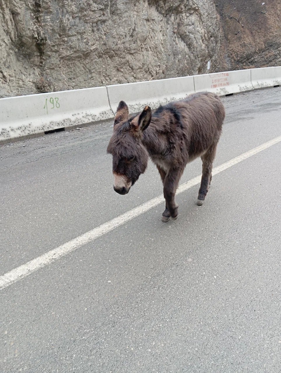 По Северной Осетии с фотографом: три ущелья, лавочка счастья и Мидаграбинское озеро (Дмитрий)