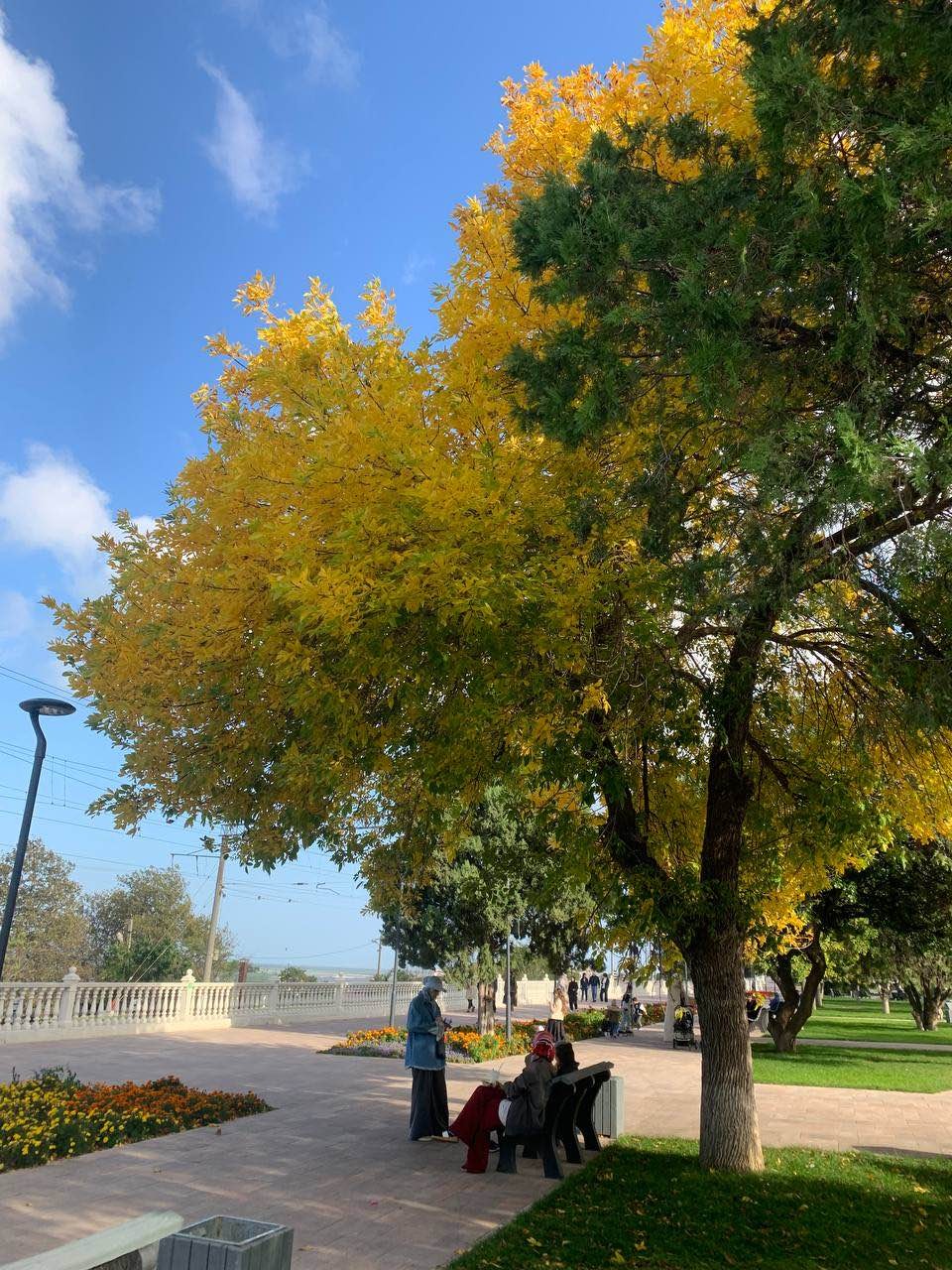 Махачкала - сердце Дагестана (Людмила)