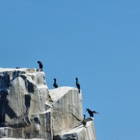 Фото отзыва 2: экскурсия "Морская прогулка на водном велосипеде в мини-группе"