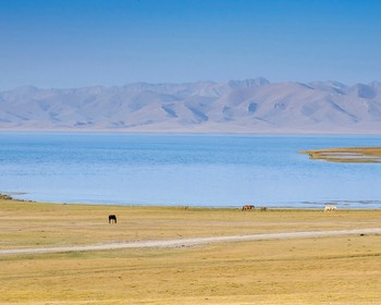 Сон-Куль, Кочкор и мастер-класс по войлоку