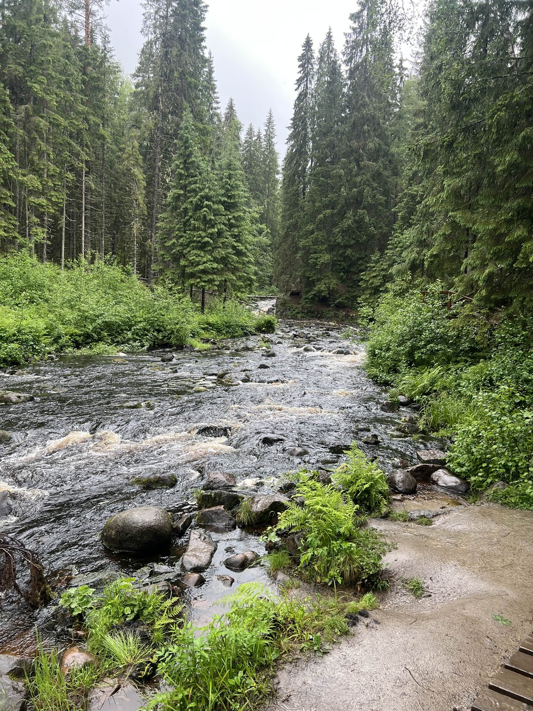 В Карелию и Рускеалу на день из Петербурга (Диана)