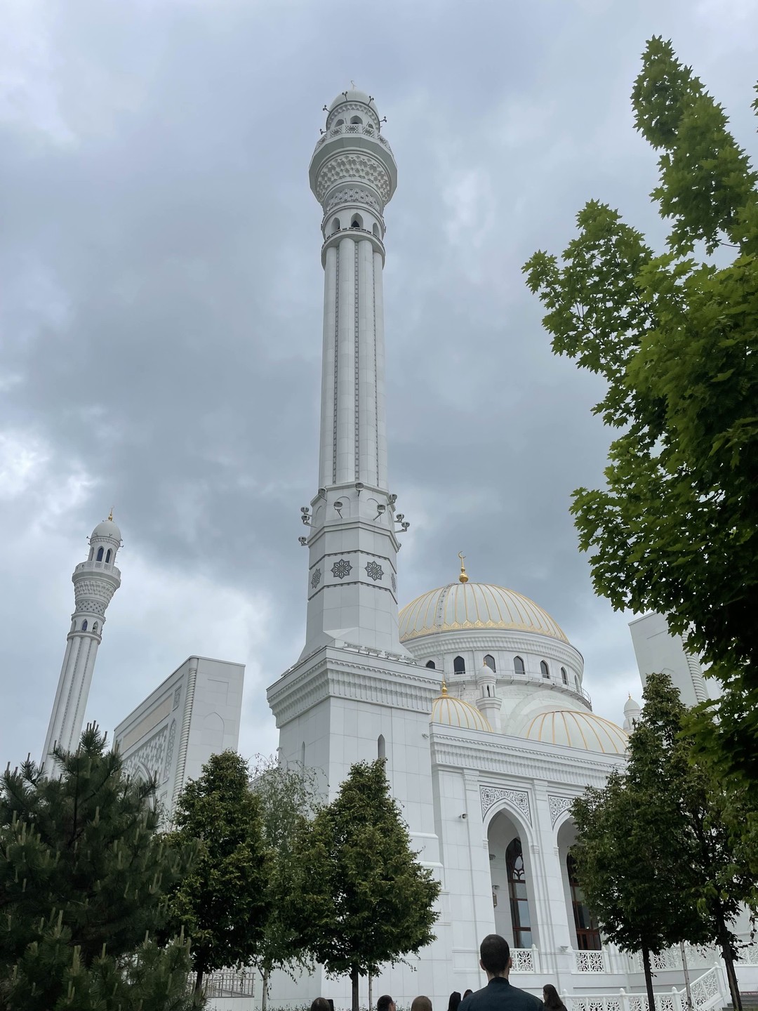 Гид Юлия прекрасно рассказывает и много всего знает, ответит на любой ваш вопрос. В целом экскурсия интересная и увлекательная