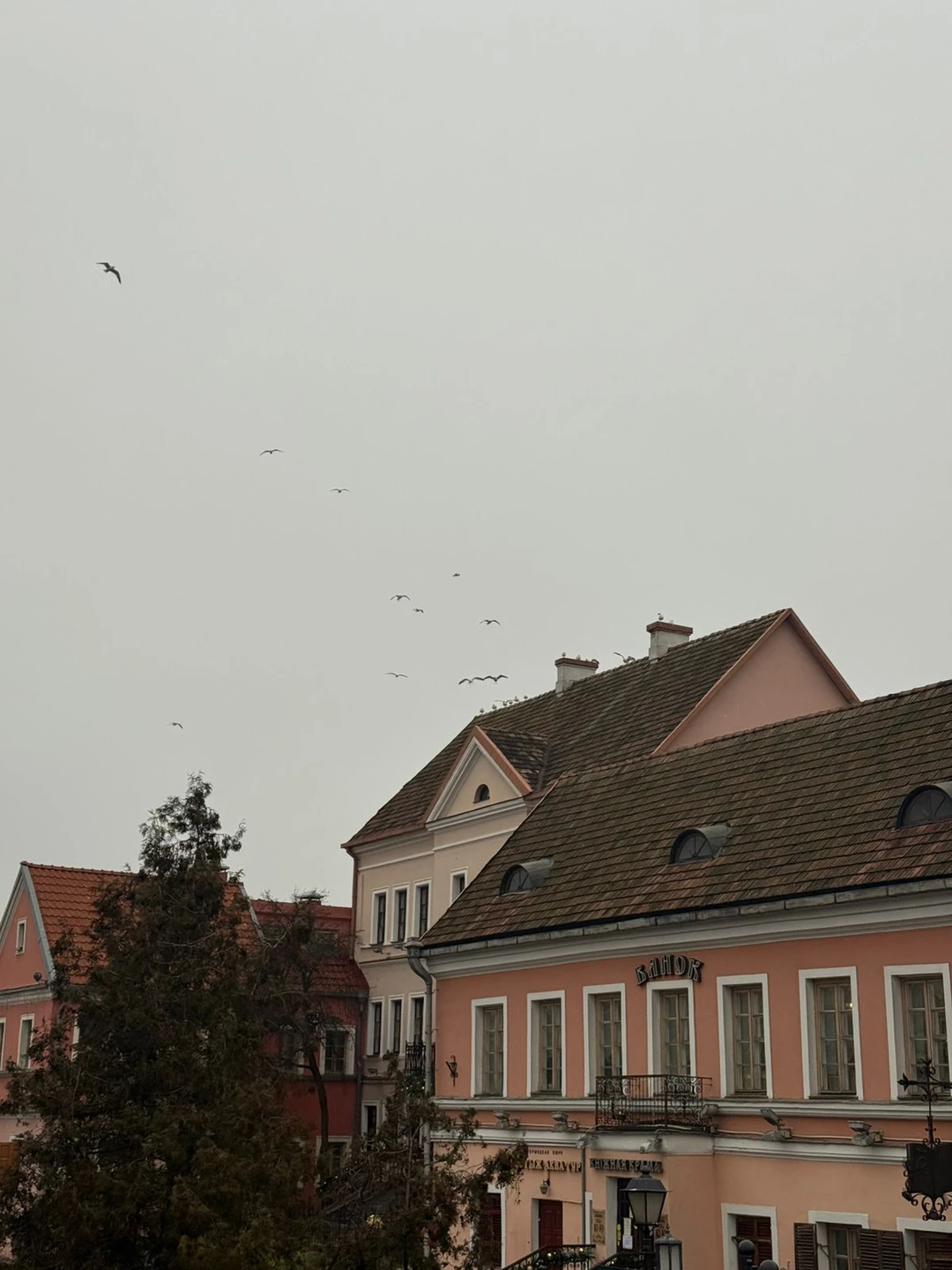 Огромная благодарность Дарье за интересную экскурсию! Несмотря на то, что мы живём здесь уже около года