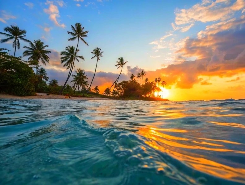 Весёлые Мальдивы: пляжный отдых, плавание с черепахами и акулами, рыбалка и фотосессии