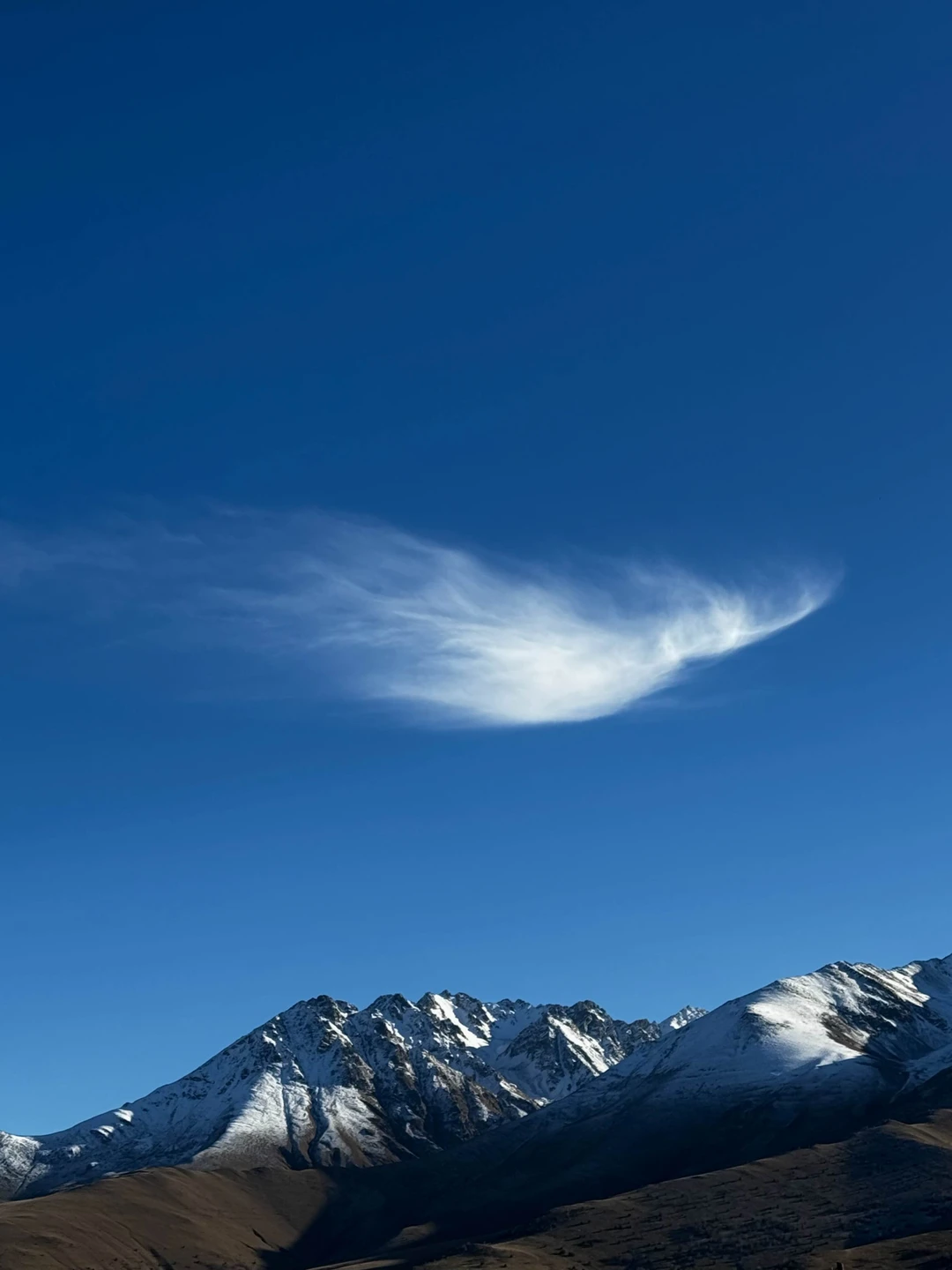 Дигория-это восторг❤️