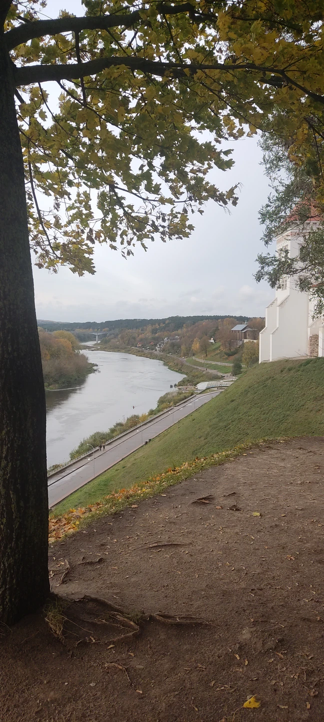 От души рекомендую Сергея! Позитивный человек, с прекрасной, не нудной манерой изложения информации. Пунктуальный, аккуратный. Знает
