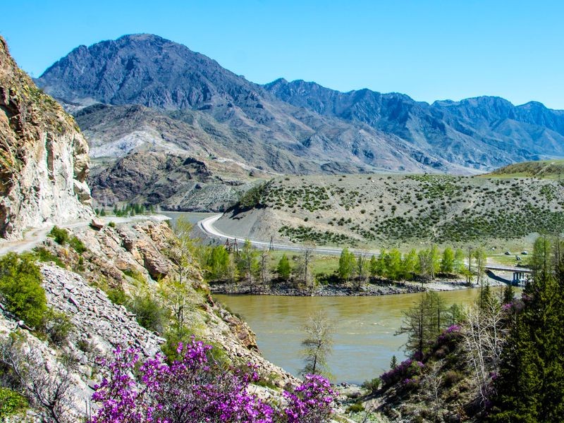 Фото отзыва 2: авторский тур "Автотрип по цветущему Алтаю"