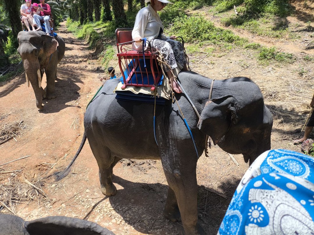 Отличная экскурсия, плотная программа. Отличное начало отдыха. Кроме фотографий спойлерить не буду. Хочется отметить, что оплачивать