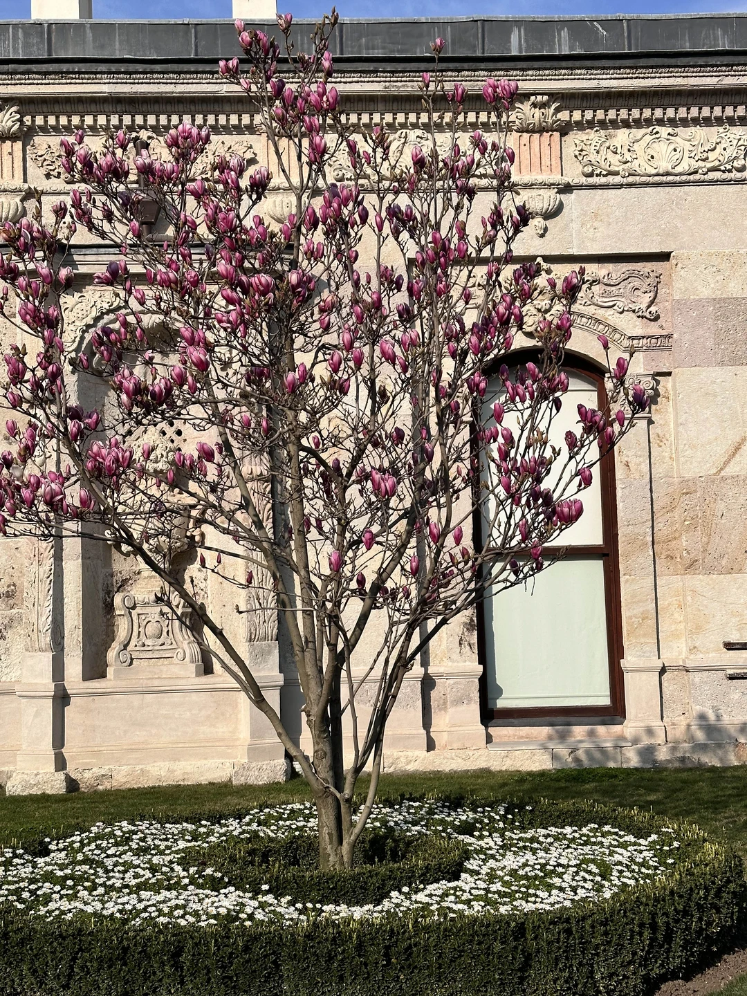 Два в одном: собор Святой Софии и дворец Топкапы (Ляйсан)