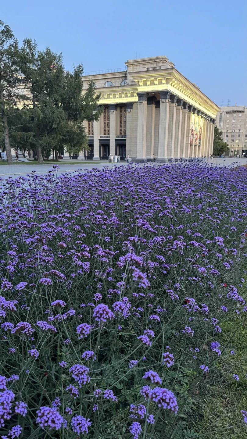 Хорошая, добротная поездка-экскурсия по ночному/вечернему городу. Мне нравятся ночные экскурсии брать в новом городе, город в