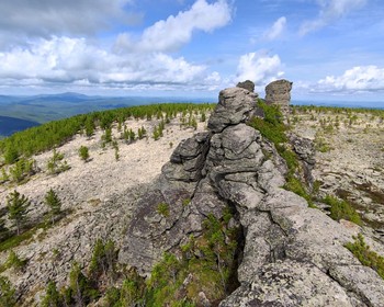 На плато к скальным столбам через кедровый лес