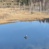 Фото отзыва 6: экскурсия "Дух Древней Руси и былинные пейзажи в Изборске"