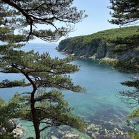 Фото отзыва 2: экскурсия "Полуостров Гамова: бухта Теляковского и остров Томящегося сердца"