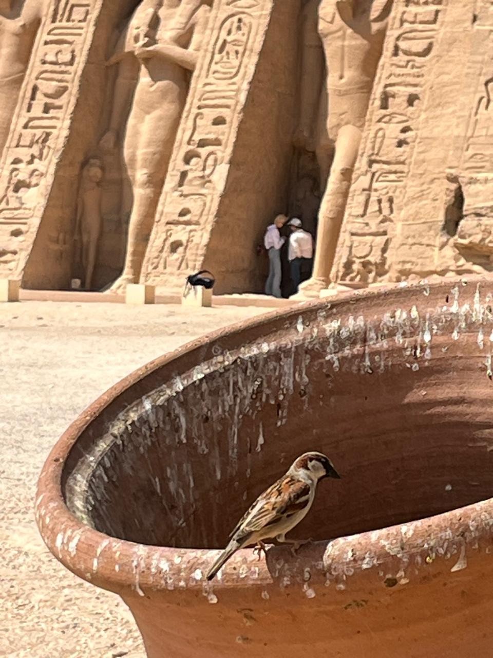 У меня получилось сложное путешествие, в которое вошли стразу несколько предложений от Ахмеда и его коллег.