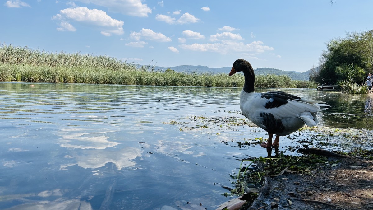 В Акьяку — из Мармариса (5/17)