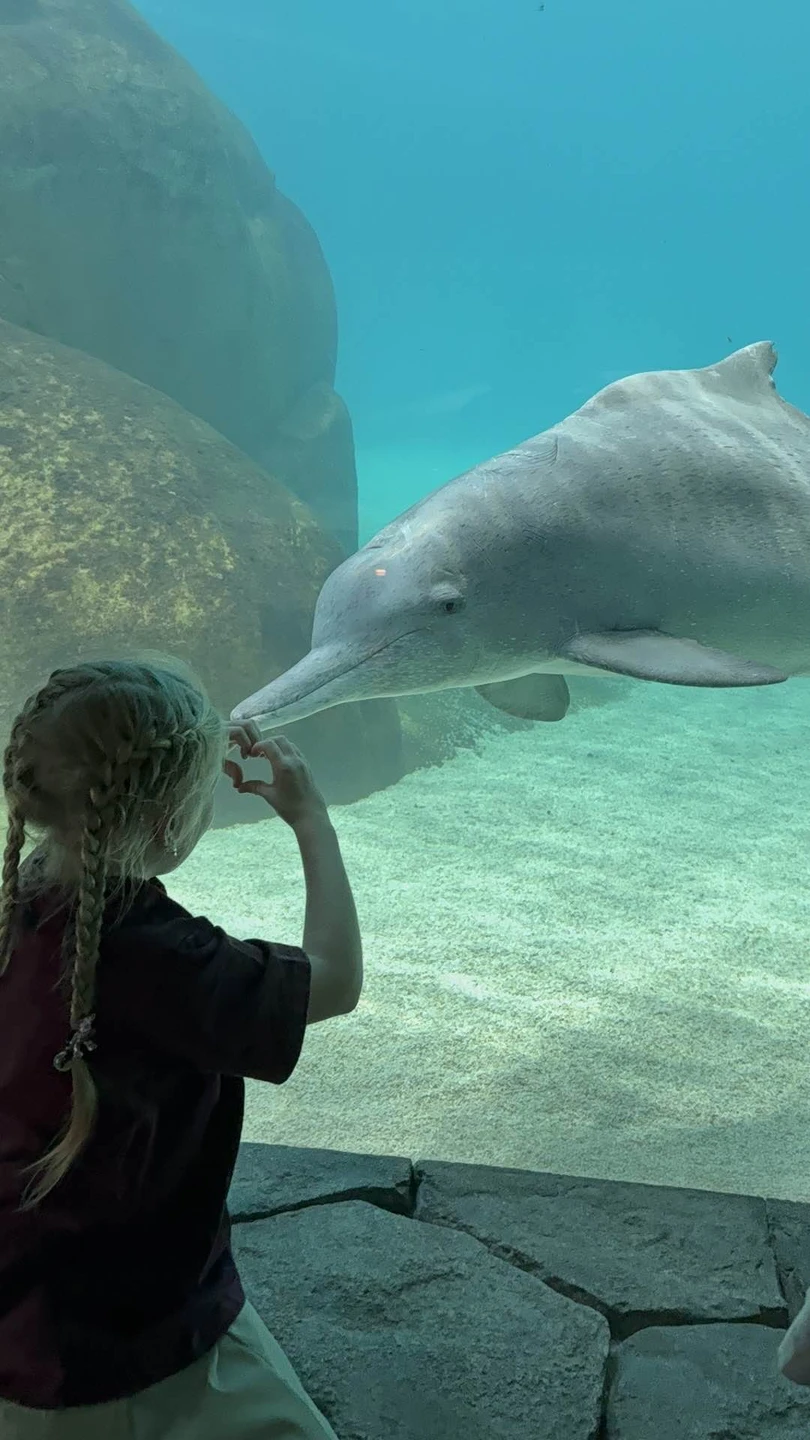 Гид Нигора показала Абу Даби во всей красе!