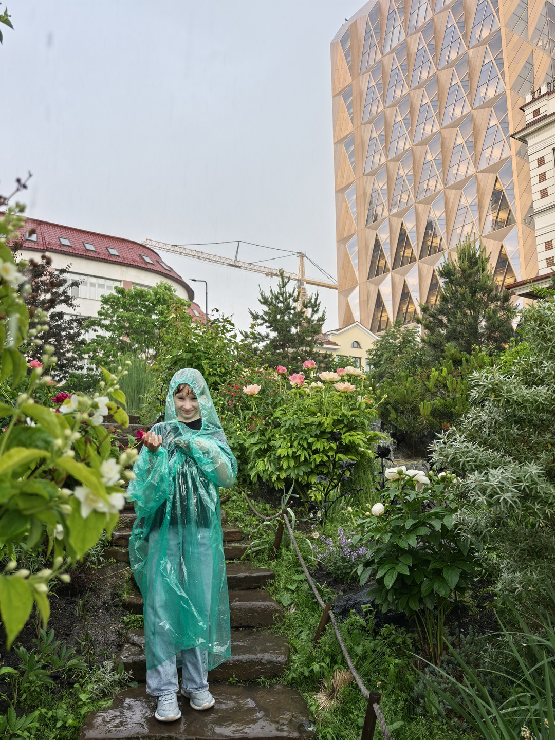 Три моста истории (Вера)